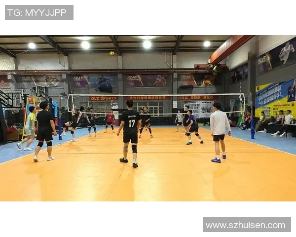 杭州排球队比赛经验分享与成长之路的深度探讨与分析